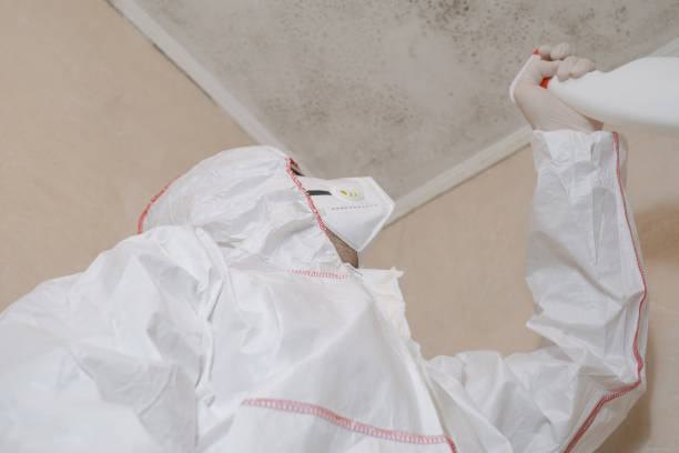 Glassport, PA Mold Removal Company